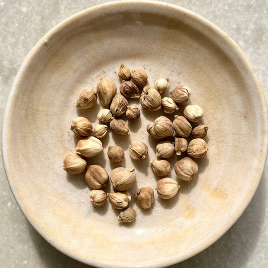 Organic Bai Dou Kou (Round Cardamon)