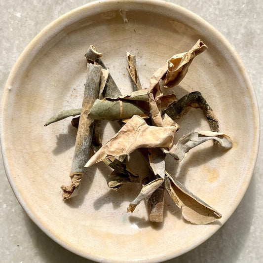 Organic Dong Gua Pi (Winter Melon Peel)