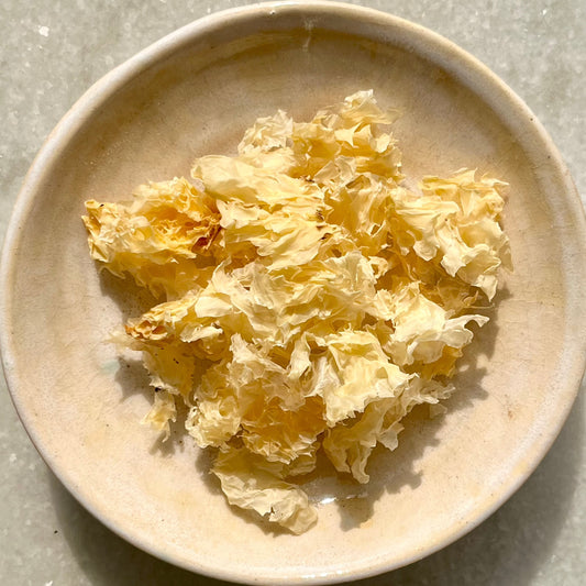 Bai Mu Er (Snow Fungus)