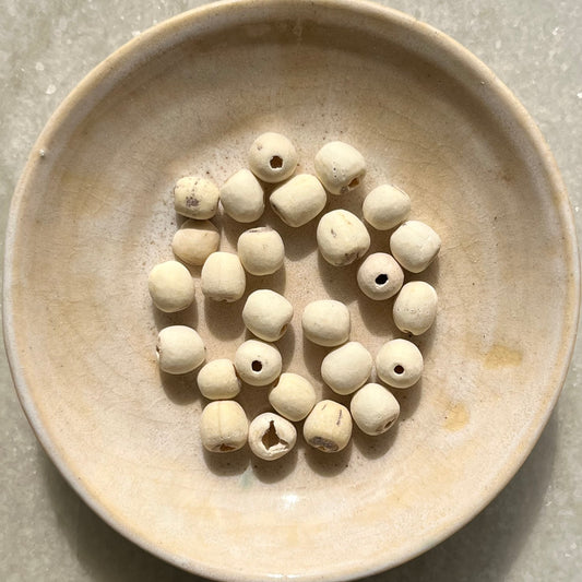 Organic Lian Zi (Lotus Seed)