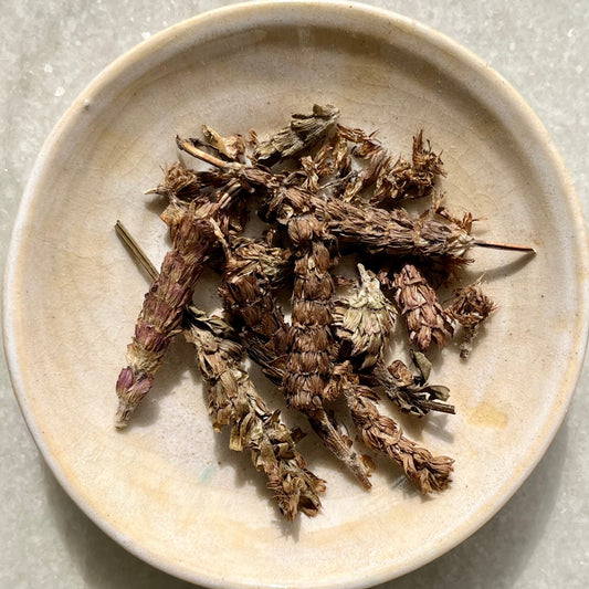 Organic Xia Ku Cao (Woundwort)