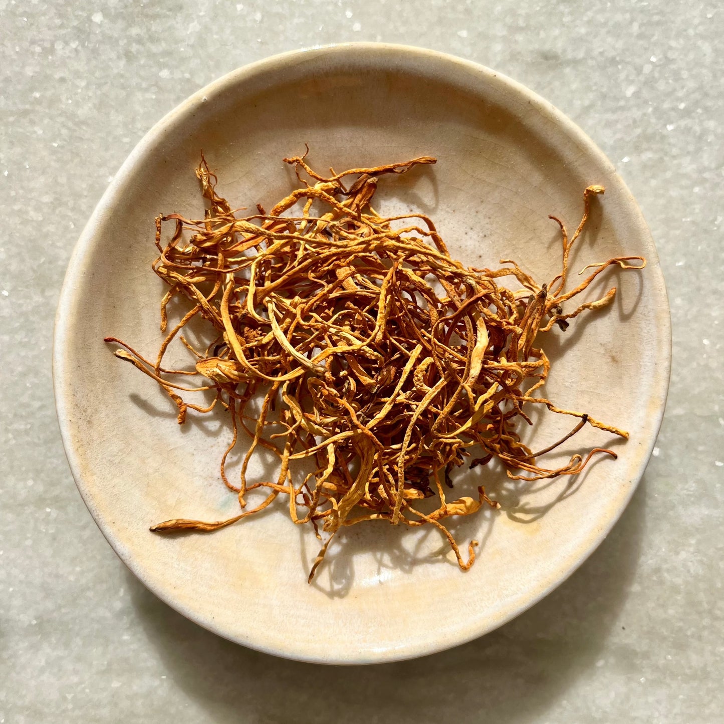 Organic Yong Chong Cao / Chong Cao Hua (Cordyceps militaris)